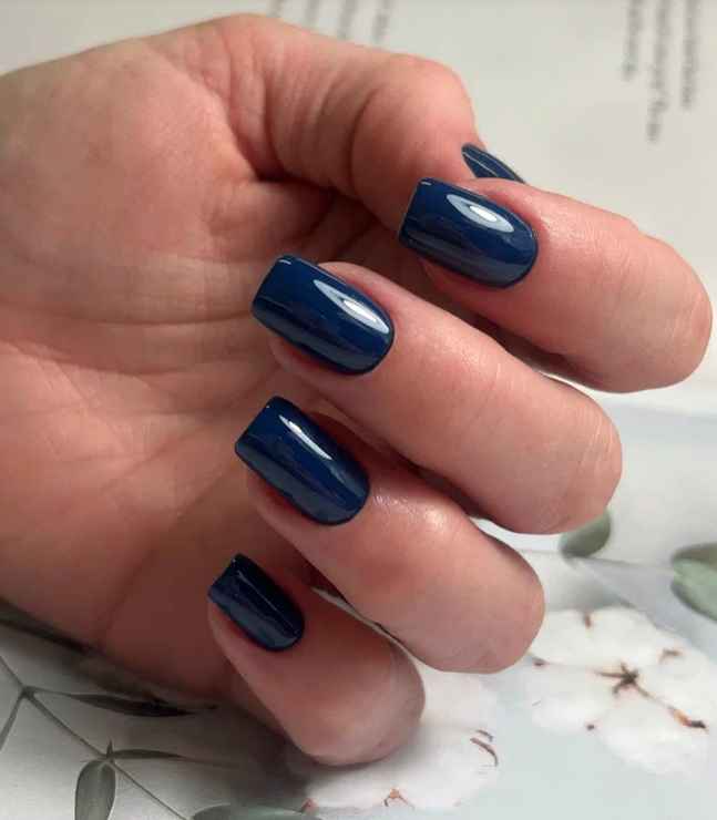 The Best Nails, Гель-лак Blueberry, 12мл