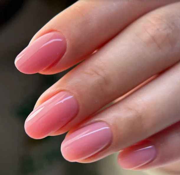 The Best Nails, Creamy Gel Гель для моделирования Limassoli, 30мл